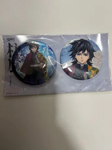 귀멸의 칼날 귀멸 기둥전 키 비주얼 글리터 캔뱃지