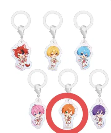 STPR Family 랜덤 오로라 참 스토푸리 젤 군