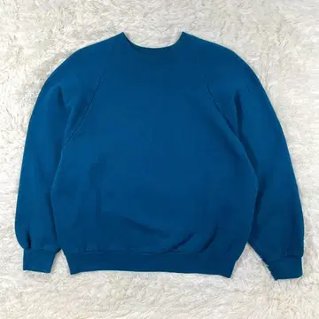 프룻 오브 더 룸 멕시코제 블랭크 맨투맨 래글런 슬리브 L 파랑