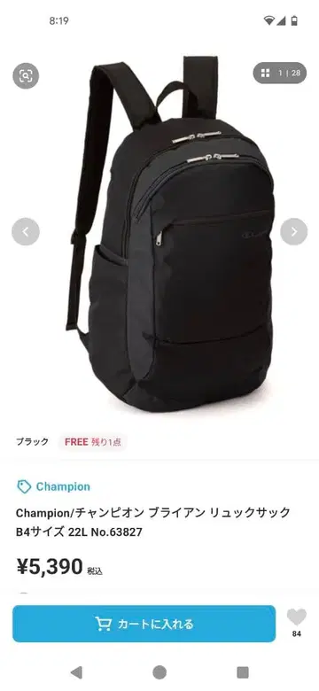 Champion 블랙 럭색 B4 사이즈 22L