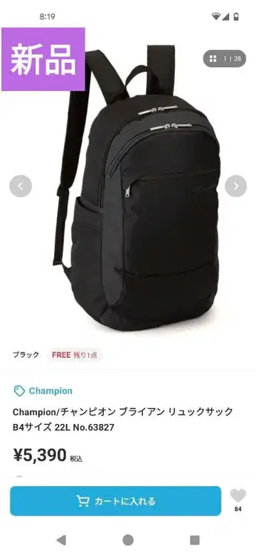 Champion 블랙 럭색 B4 사이즈 22L