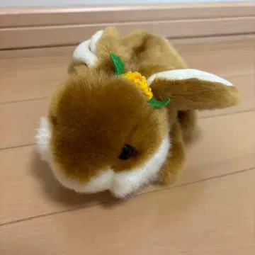 토끼 씨 귀여운 봉제 인형