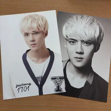 EXO 세훈 SEHUN 대형 (A4) 포토 카드 2장 세트
