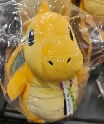 후쿠이 응원 포켓몬 카이류 봉제 인형 후쿠이 한정판