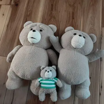 테드 봉제 인형 3개 세트