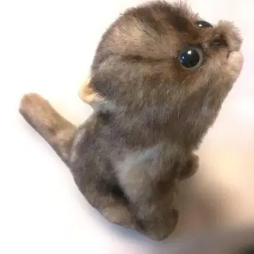 리베사 고양이 봉제 인형 TOKYOJAPAN