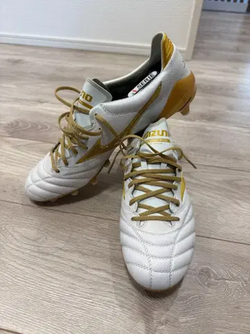 레어 모렐리아 neo2 28.0