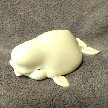 해양 동물 피규어 흰돌고래 동물혹성 가챠가챠 블라인드 박스