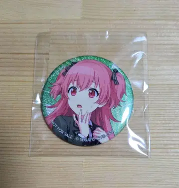 모모이 아이리 캔뱃지 카라팔레 특전