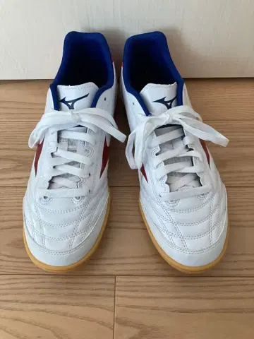 모나르시다 NEO SALA SELECT IN