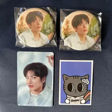 TXT 투바 업그레이드 태현 타곤냥 트레이딩 카드 씰 캔뱃지