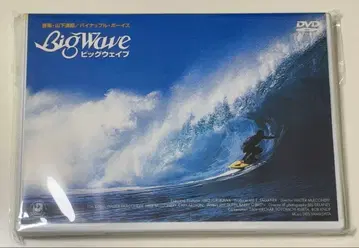 야마시타 타츠로 DVD BIG WAVE('84미국) 빅 웨이브