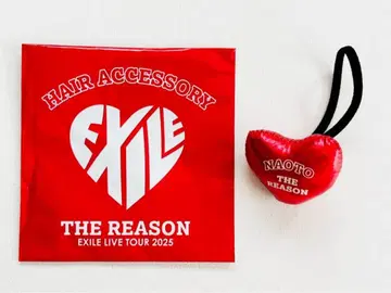 EXILE LIVE TOUR 2025 THE REASON 헤어 액세서리