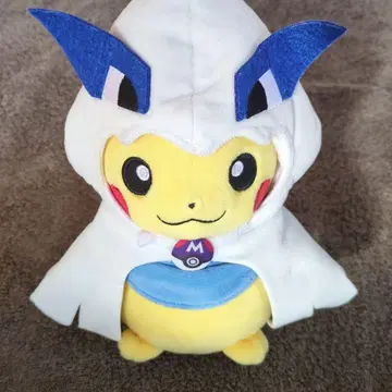 피카츄 판초 길아 포켓몬 센터