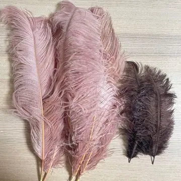 결혼식 웰컴 스페이스 장식 페더