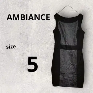 AMBIANCE [ 5 ] 슬리브리스 타이트 원피스 블랙 그레이
