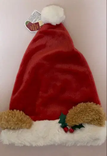 디즈니씨 크리스마스 더피 팬캡 2024