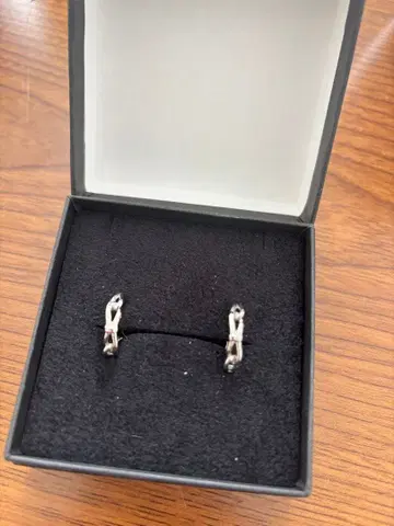 ZERO 프리 앤서니 디자인 귀걸이