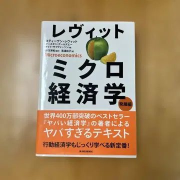 레빗 미시경제학 발전편