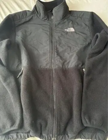 THE NORTH FACE 데날리 플리스 자켓