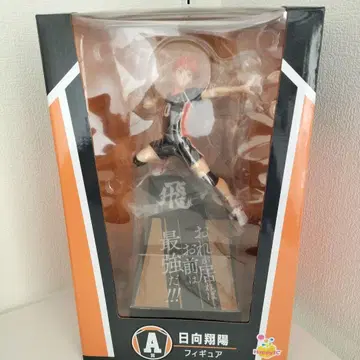 하이큐 복권 히나타 쇼요 피규어