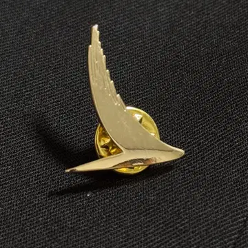 캐세이패시픽 CATHAY PACIFIC 핀 배지 골드 골드 컬러