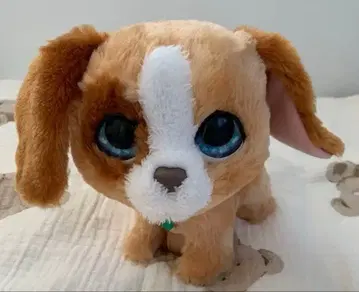 퍼리얼 산책 시리즈 강아지 상자 없음