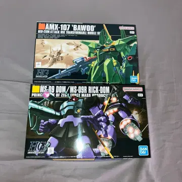 HG AMX-107 'BAWOO' & MS-09 DOM 세트