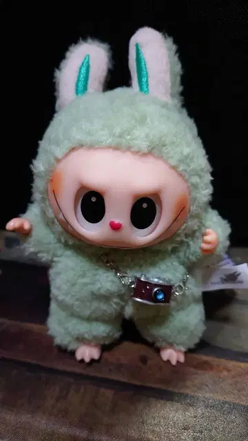 러브브 마카롱 카메라 포함