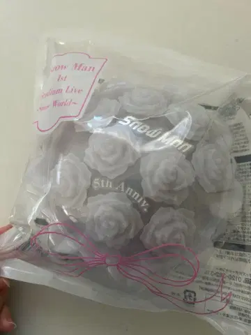 Snow Man 5th Anniversary 응원봉