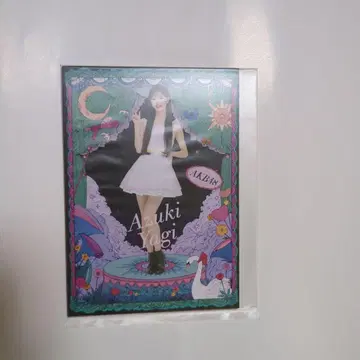 AKB48 다이마루 사진 야기 아이츠키