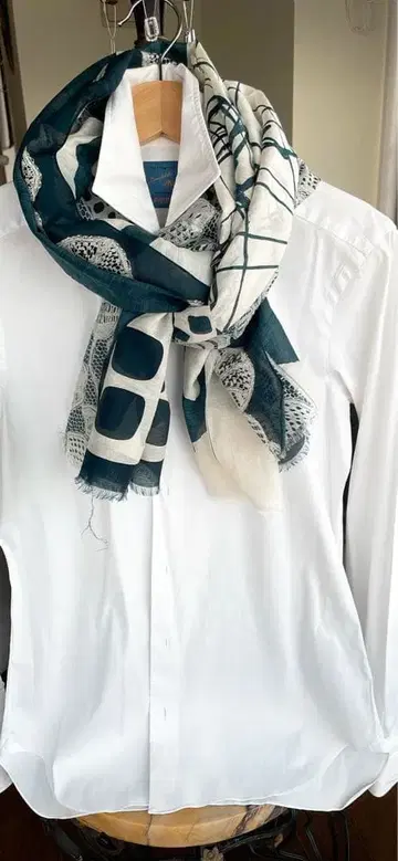 스트라스부르고 네이비와 화이트의 기하학 패턴 스톨