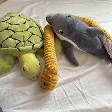 거북이 돌고래 뱀 봉제 인형 세트