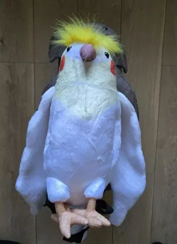 새 백팩 잉꼬 왕관앵무