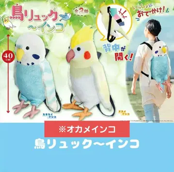 새 백팩 잉꼬 왕관앵무