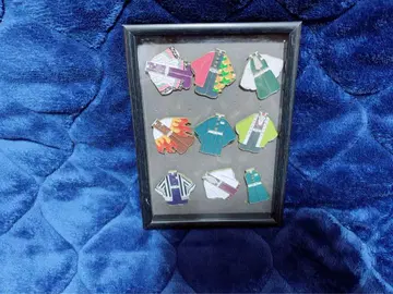 귀멸의 칼날 기둥 핀 배지 로손