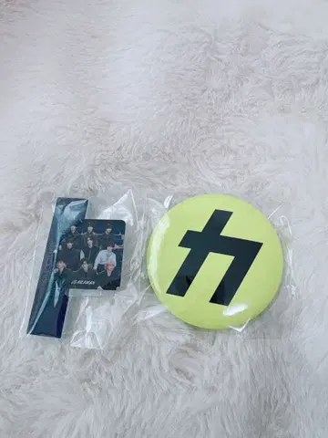 SnowMan 음고지신 특전 카리스마 캔 배지 아크릴 스탠드