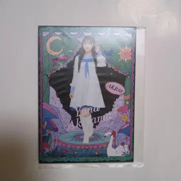 AKB48 아키야마 유나 다이마루 콜라보 사진