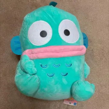 한교동 봉제 인형 초초BIG 봉제 인형 갸웃 포즈 산리오