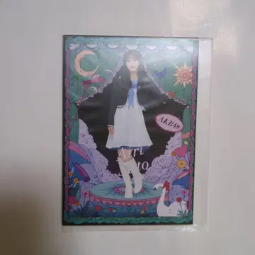 AKB48 사토 키세 다이마루 콜라보 사진