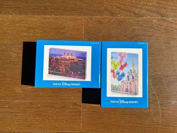 도쿄 디즈니 리조트 아크릴 블록 디즈니씨 디즈니랜드