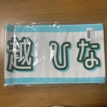 한여름 전국 투어 2025 오고시 히나노