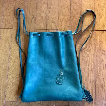 아날로지코 냅색 한정판 포레스트 그린 미사용