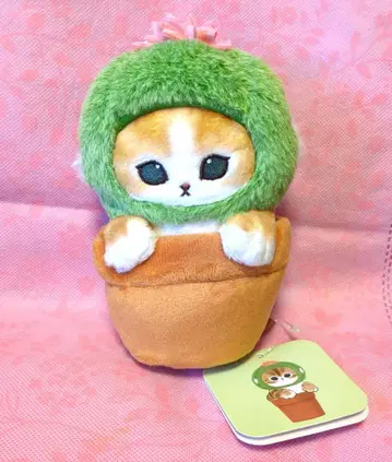 mofusand 선인장냥 봉제 인형(꽃 달린 냥)