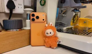 THE MONSTER PIN FOR LOVE 시리즈 봉제 인형 펜던트 Z