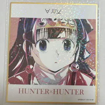 HUNTER x HUNTER 색지 아르카