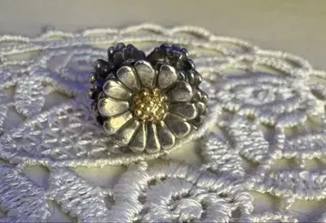 트롤비즈 데이지