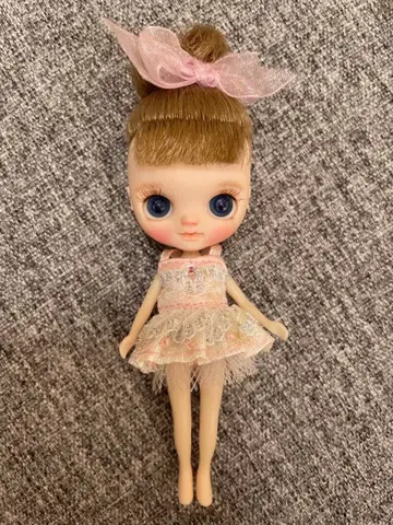 커스텀 미니 브라이스