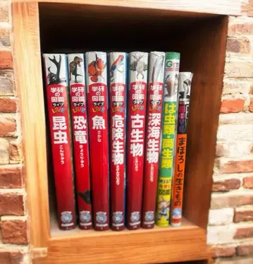 남아가 빠진 도감 8권 세트