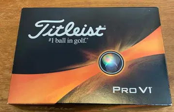 Titleist Pro V1 골프공 4개입